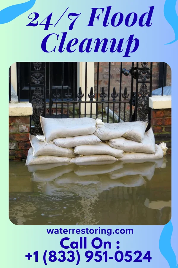 24/7 Flood Cleanup in Benzonia, MI