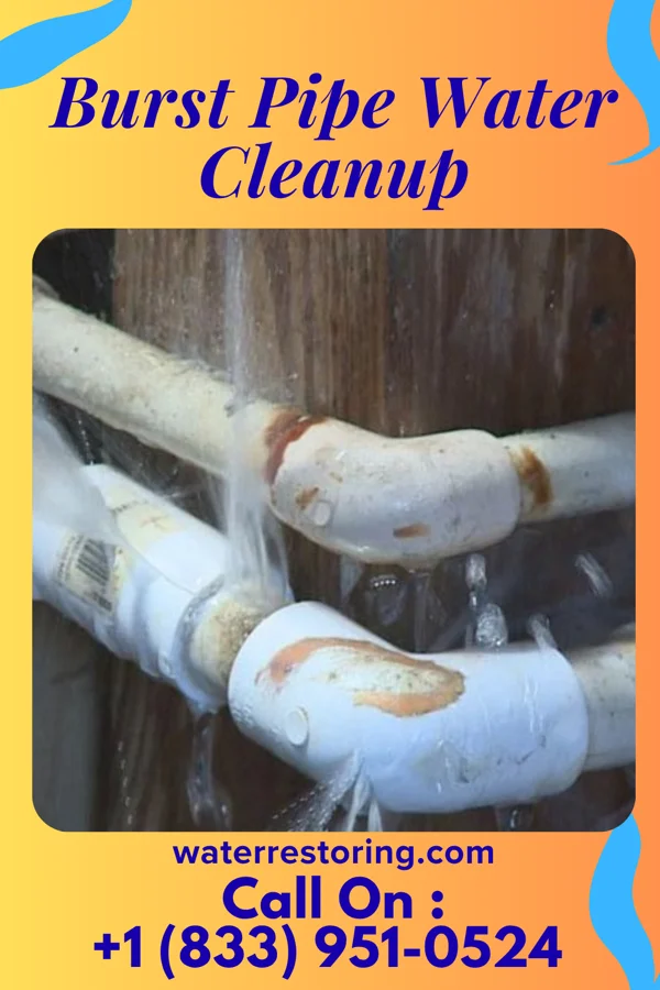 Burst Pipe Water Cleanup in Benzonia, MI