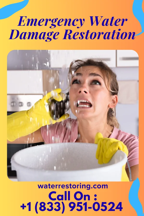 Emergency Water Damage Restoration in Benzonia, MI