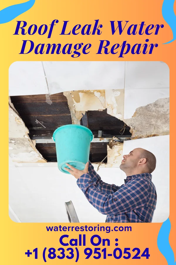 Roof Leak Water Damage Repair in Benzonia, MI