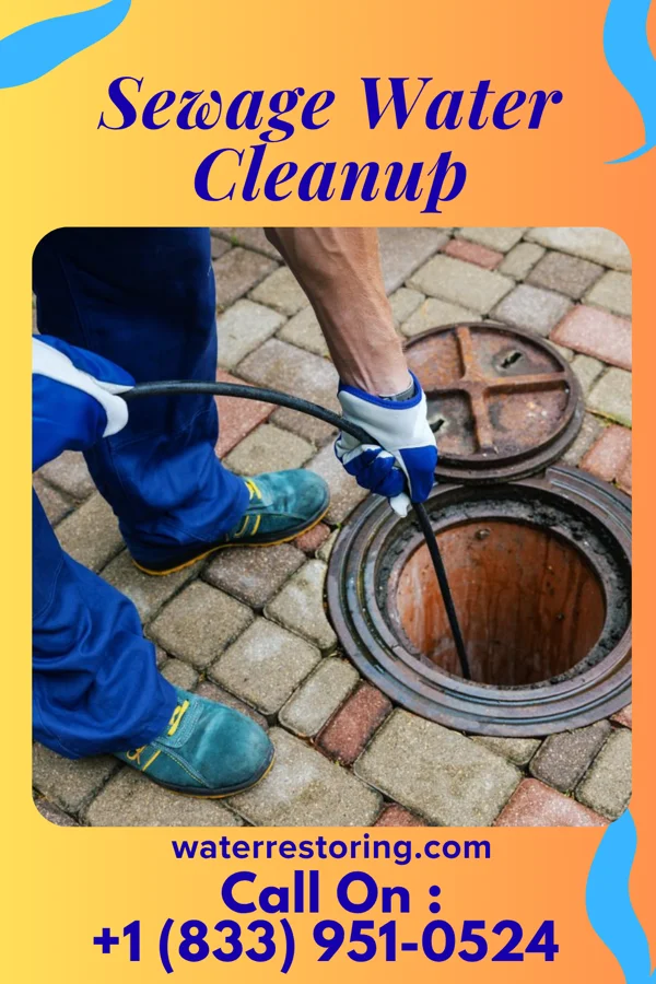 Sewage Water Cleanup in Benzonia, MI